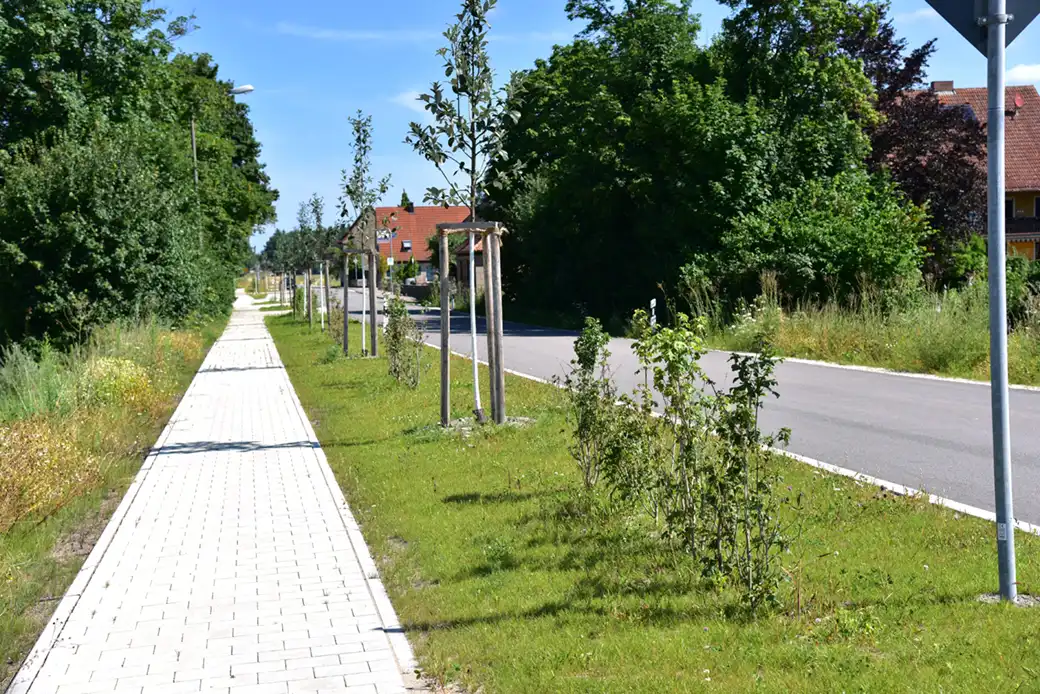 Bürgersteig neben der Straße mit Gras, Bäumen, Häusern und Grünflächen im Hintergrund.
